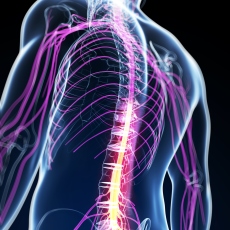 Neuro Muscular and related diseases