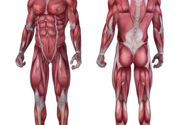 S.G Ayurveda treats muscular dystrophy